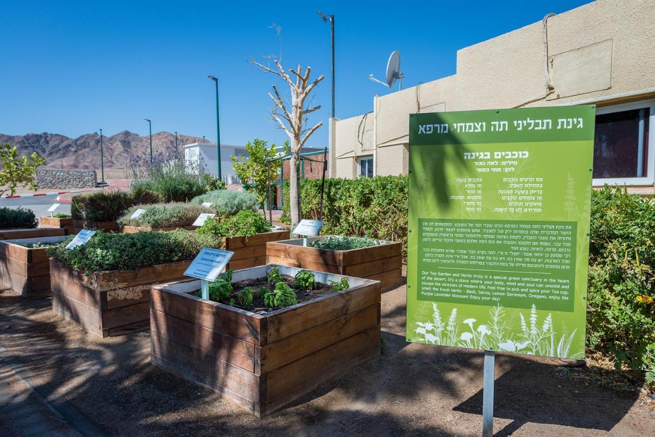 Eilot Kibbutz Country Lodging Eilat Bagian luar foto