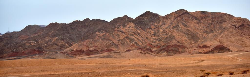 Eilot Kibbutz Country Lodging Eilat Bagian luar foto