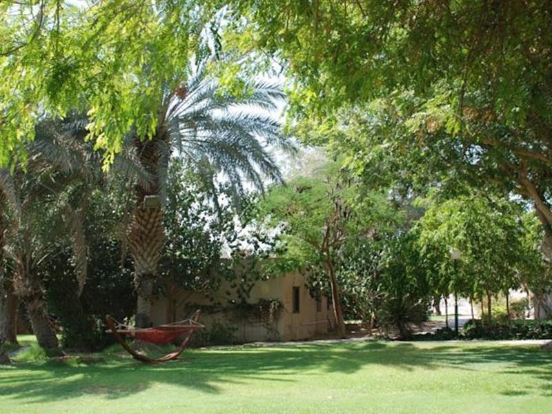 Eilot Kibbutz Country Lodging Eilat Bagian luar foto